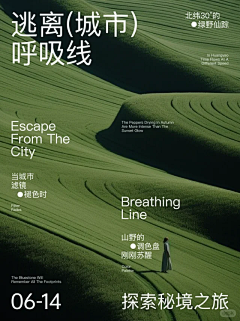 被遗忘的§蠓翔€采集到海报