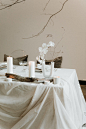 Sandstone Hand-Dyed Backdrop at a Romantic Calgary Elopement — The LOVLI Collection