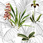 Tropical plants, exotic orchid flowers and leaves.