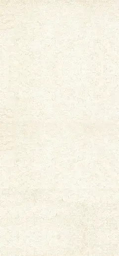 宣纸