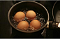 沸水煮鸡蛋并不好 美厨邦