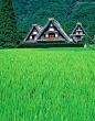 日本-白川乡-歧阜