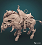 学CG,必看的zbrush动物解剖！！ : 学CG,必看的zbrush动物解剖！！