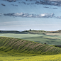 Landscape Nature Washington wheat field palouse