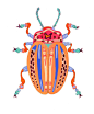其中包括图片：Beetles — Caroline Kaufman Studio