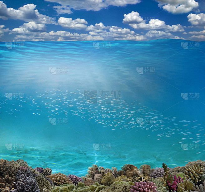 水下珊瑚礁海床和水面与天空