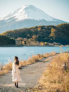 走进漫画壁纸里的富士山河口湖枫叶红了 - 小红书