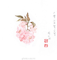 桃山采集到周小小洛LORE