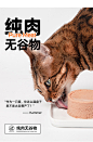 阿飞和巴弟猫罐头全价主食罐ican罐头170g*4罐无谷猫湿粮成猫幼猫-淘宝网