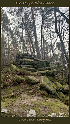 喵了个咪的昵称竟然已经存在了采集到A场景—墙砖