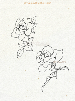 无为WW采集到植物照片or插画