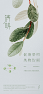 清明节气海报-源文件