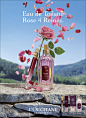 Photographe Parfum -  Jean-Charles recht - L occitane  199 copie.jpg : Photo Perfumes by Jean-Charles Recht