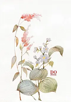 dodolog  的插画 《勿忘我》
