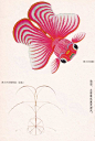(227) Pinterest