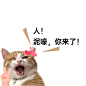 趣味表情包朋友圈封面aigc