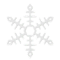 Snowflake  3D Icon