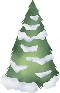 冬日雪松 水彩手绘圣诞节装饰元素 PNG免抠图