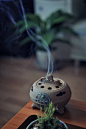 焚香引幽步，酌茗开静筵。