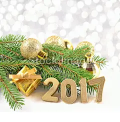 2017 年金色数字和云杉分支和圣诞东北林业大学#新年# #春节# #过年# #鸡年# #2017年# #新年素材# #春节素材# #海报# #设计素材# #生肖# #平面设计# #新年海报# #鸡年海报# #2017数字背景# #圣诞节装饰# #公鸡# #卡通插画# #雄鸡# #新年贺卡# #鸡年日历# #2017年日历# #白背景# #rooster# #金鸡报春# #红包设计#