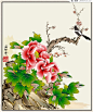 一款中国风格花鸟工笔画矢量素材_矢量中国_懒人图库