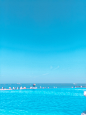 大海