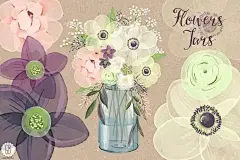 水彩银莲花（海葵）插花插画 Watercolor anemones baby breath jar