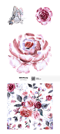 PS勃艮第水彩玫瑰花卉花环装饰素材_平面素材_PNG免扣素材_模库(51Mockup)