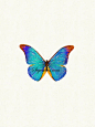 美食的世界 大师手绘复古水彩 蝴蝶