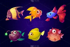 动物,鱼类,多色的,鱼缸,海洋,鸡尾酒,休闲游戏,波兰,背景分离,热带气候