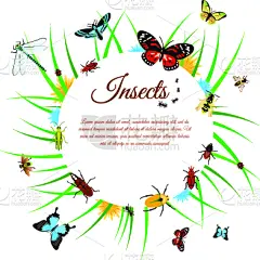 绘画插图,昆虫,传单,翅膀,模板,甲虫,草,蚂蚁,蚊子,蚊蝇