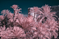 alicante beach color creative españa infrared long exposure photo Photography  spain