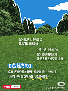 菠菜土豆泥沙拉采集到平面_版式设计