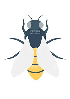 苍蝇  - 源文件下载【酷图网】苍蝇,知了,牛蝇,黄蜂,乌蝇,矢量苍蝇,蜜蜂
