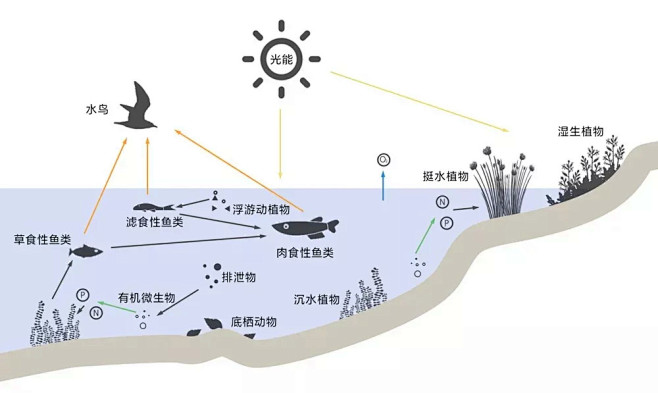 雅居乐滨河雅郡展示区  景观设计  / ...