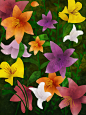 Floral Finger Paintings : Digital paintings made with Adobe Fresco and Adobe Capture