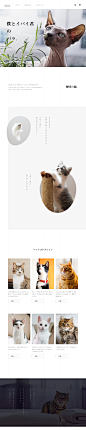 0182a35d3690c1a80120695cf5a660.png@1280w_1l_2o_100sh