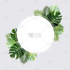 叶子,球体,棕榈树,季节,夏天,绿色,闪亮的,华丽的,发光