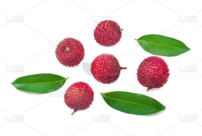 鲜荔枝，叶子孤立在白色背景上。