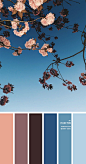 mauve plum peach and shades of blue color combination, colour inpiration, peach plum and blue color scheme, colour palette, color combos, peach plum and shades of blue color combination #color #colorcombo