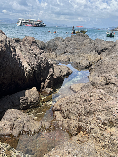绿藻是绿采集到2023_06_huizhou