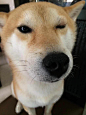 来自相册