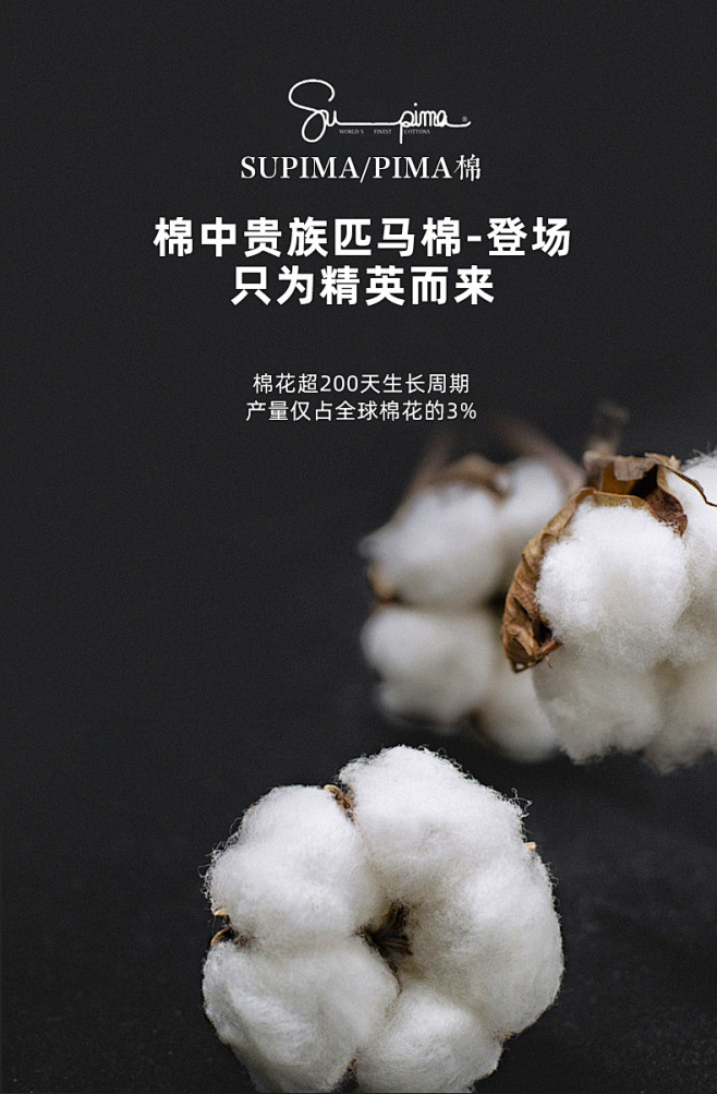 LANSIU/蓝丝羽180支98白鹅绒羽...