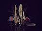 Dark Still Life : Still life series with a dark mood inspired by still life 19th century paintings and photography. Influenced by photographer Roger Fenton. 