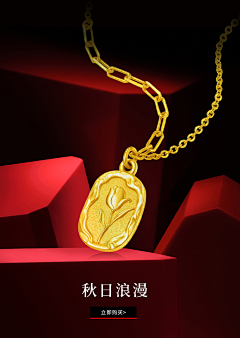 RelyZhang采集到个人作品