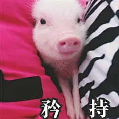 今天也是精致的猪猪女孩表情包_今天也是精致的猪猪女孩表情包下载_今天也是精致的猪猪女孩动态gif表情图-4399聊天表情包大全