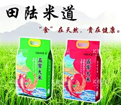 田陆米道  - 源文件下载【酷图网】大米促销,展架海报,大米广告,大米宣传,大米,大米包装,稻花香米,大米插画,高档大米包装,精品大米包装,米类包装,东北大米,五常大米,珍珠米,长粒香,水稻,稻穗,农田,稻田,生态大米,自然生态