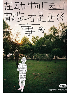 一颗疯珠采集到插画——日常、随心