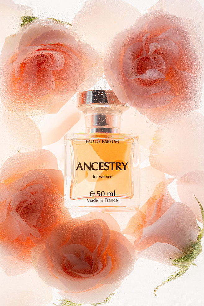 perfume rose Flowers...