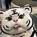 嘉YOU鸭G13